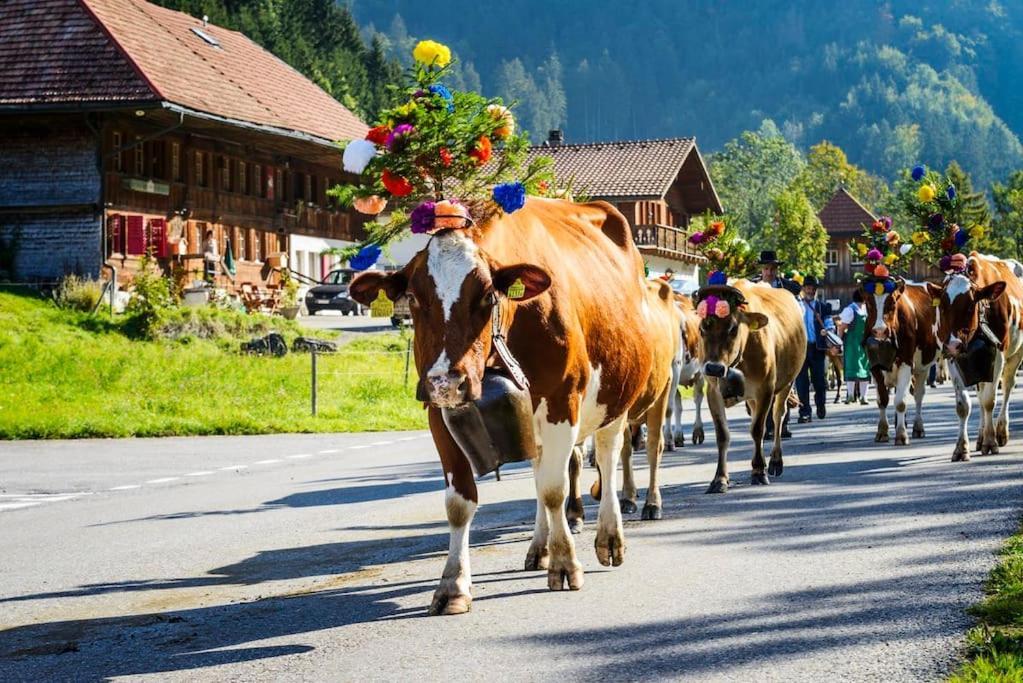Confortable Chalet Avec Magnifique Vue En Gruyere. Шарме Екстериор снимка
