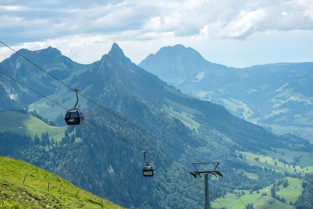 Confortable Chalet Avec Magnifique Vue En Gruyere. Шарме Екстериор снимка