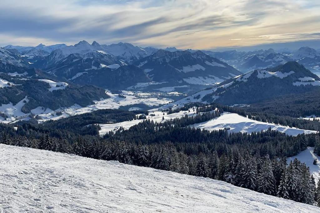 Confortable Chalet Avec Magnifique Vue En Gruyere. Шарме Екстериор снимка